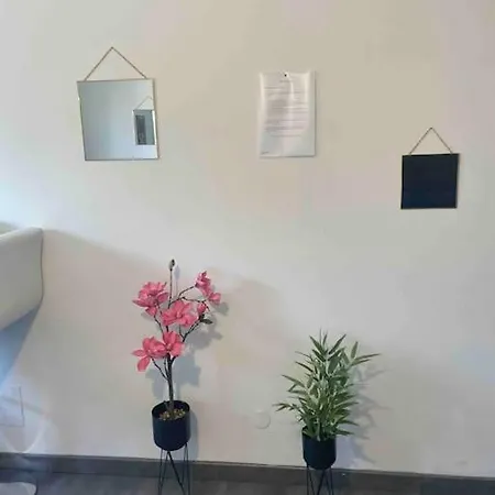 Joli Studio Proche De La Plage * Saint-Cyprien (Pyrenees-Orientales)